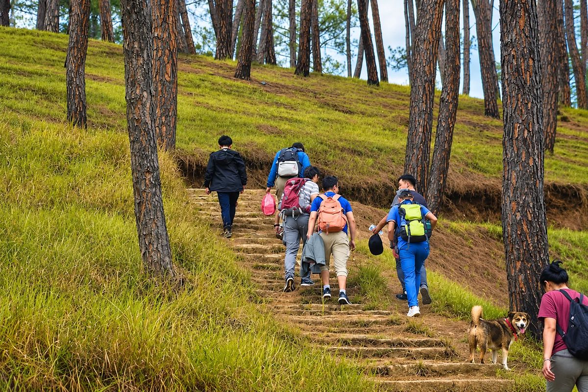 Champadevi to Chandragiri Hike: Scenic Ridge Trail Near Kathmandu photo 3