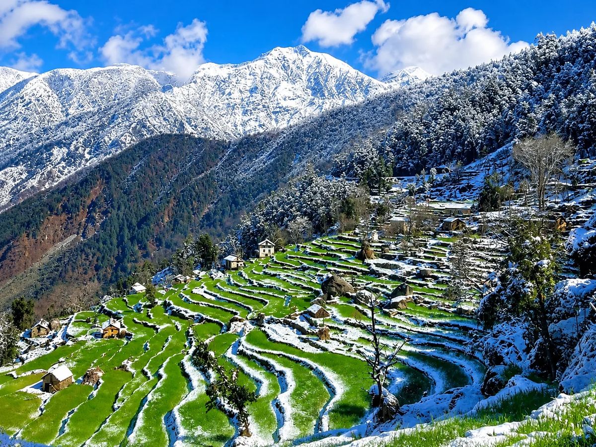 Ramaroshan Trek: Into the Wild Beauty of Far West Nepal photo 4