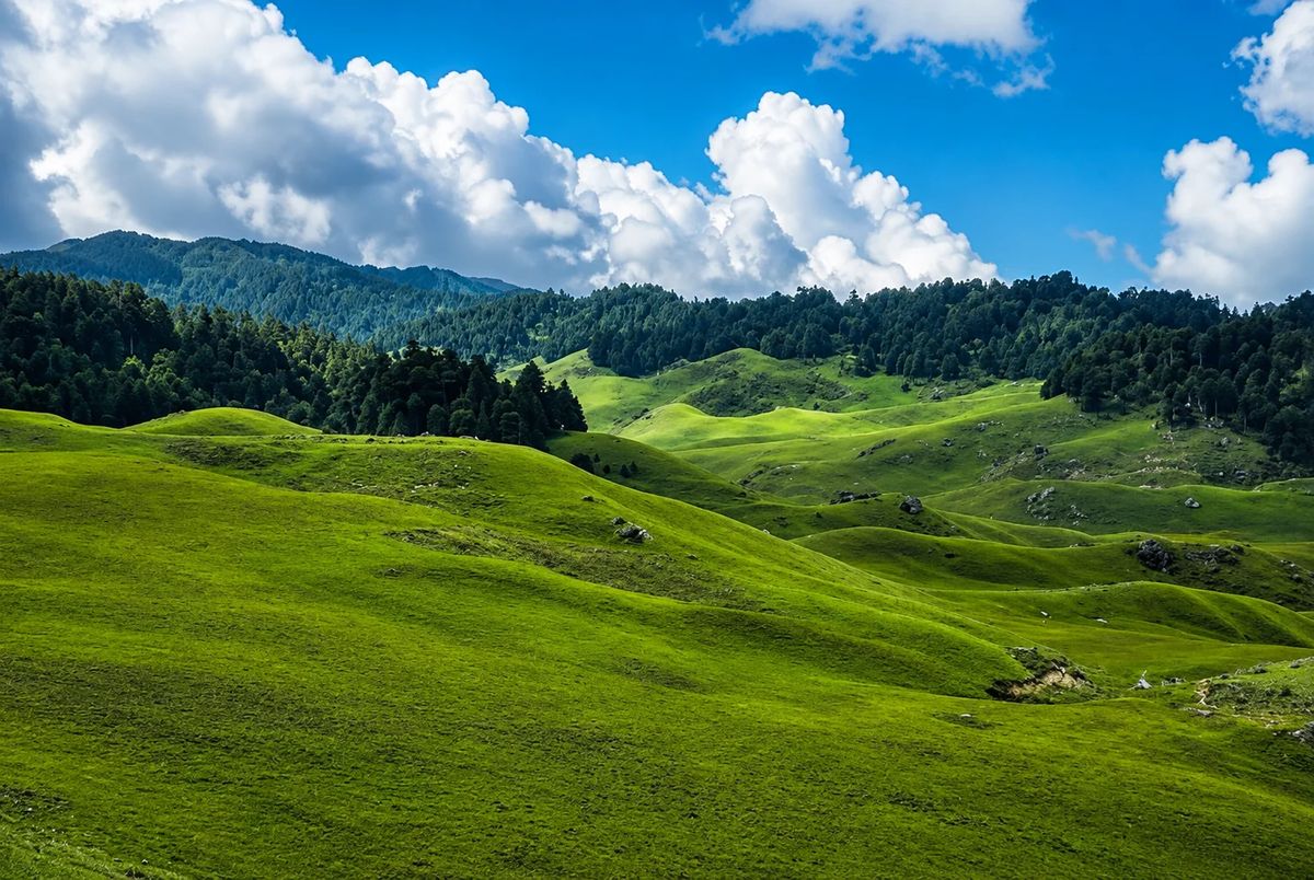 Ramaroshan Trek: Into the Wild Beauty of Far West Nepal photo 2