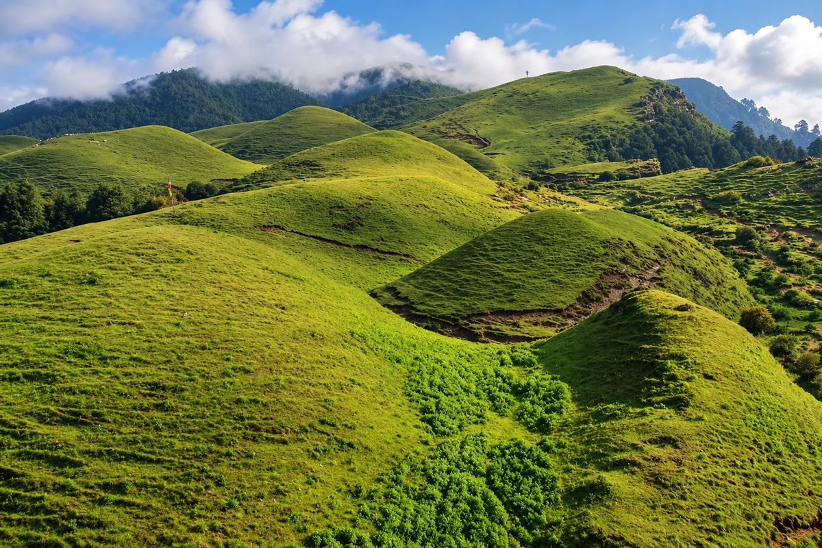 Sailung Hill Tour: Scenic Himalayan View & Nature Escape photo 3