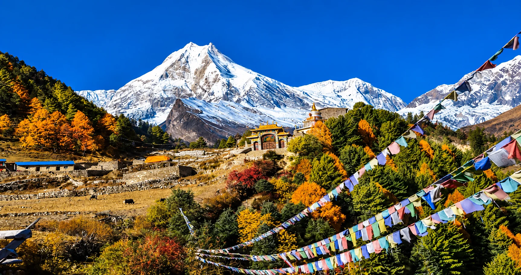 Manaslu Conservation Area Nepal: Complete Guide 2027