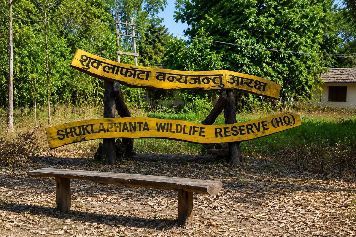 Shuklaphanta Wildlife Tour: Best Safari & Wildlife Experience in Nepal