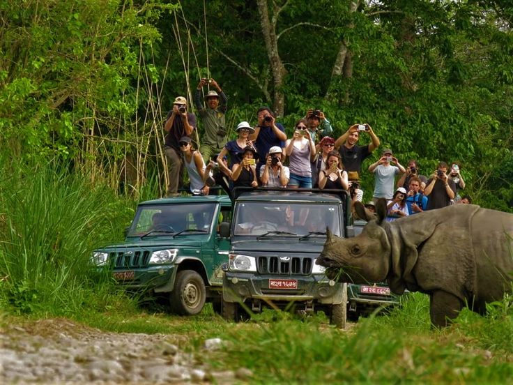 Complete Guide to National Parks of Nepal