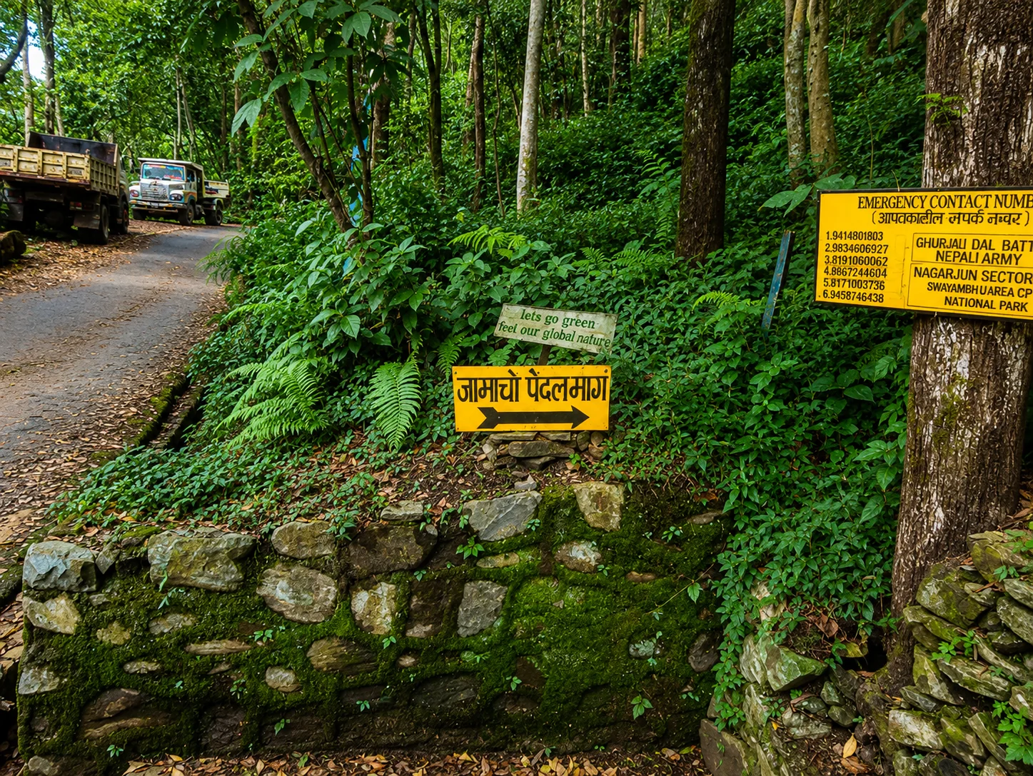 Jamacho Hike: Monasteries, Forests and Mountain Views in One Day